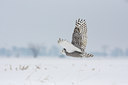 BUITEN BEELD Foto: 83908