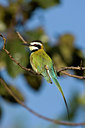 BUITEN BEELD Foto: 84208
