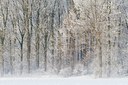 BUITEN BEELD Foto: 84262