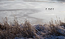BUITEN BEELD Foto: 84264