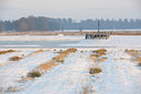BUITEN BEELD Foto: 84265