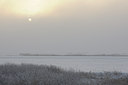BUITEN BEELD Foto: 84291