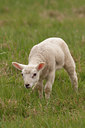 BUITEN BEELD Foto: 84299