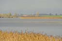 BUITEN BEELD Foto: 84343