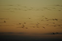 BUITEN BEELD Foto: 84356