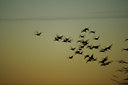 BUITEN BEELD Foto: 84357