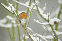 BUITEN BEELD Foto: 84367