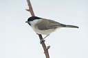 BUITEN BEELD Foto: 84404