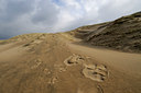 BUITEN BEELD Foto: 84570