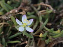 BUITEN BEELD Foto: 84605