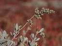 BUITEN BEELD Foto: 84609