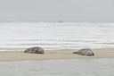 BUITEN BEELD Foto: 84636