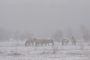 BUITEN BEELD Foto: 84656