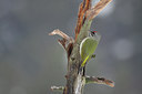 BUITEN BEELD Foto: 84756