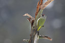 BUITEN BEELD Foto: 84758