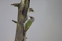 BUITEN BEELD Foto: 84760