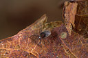 BUITEN BEELD Foto: 84771