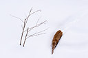 BUITEN BEELD Foto: 84883