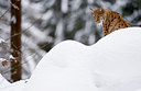 BUITEN BEELD Foto: 84886
