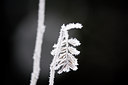 BUITEN BEELD Foto: 84898