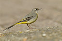 BUITEN BEELD Foto: 85022