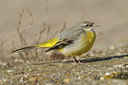 BUITEN BEELD Foto: 85027