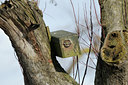 BUITEN BEELD Foto: 85029