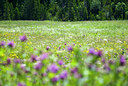 BUITEN BEELD Foto: 85134