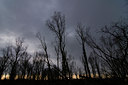BUITEN BEELD Foto: 85136