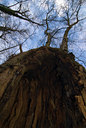 BUITEN BEELD Foto: 85160