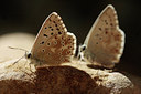 BUITEN BEELD Foto: 85243