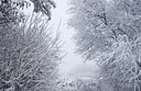 BUITEN BEELD Foto: 85313
