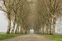 BUITEN BEELD Foto: 85432