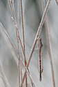 BUITEN BEELD Foto: 85449