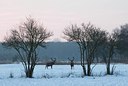 BUITEN BEELD Foto: 85545