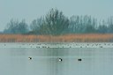 BUITEN BEELD Foto: 85565