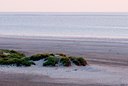 BUITEN BEELD Foto: 85574