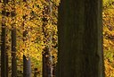 BUITEN BEELD Foto: 85591