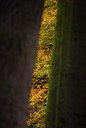 BUITEN BEELD Foto: 85600