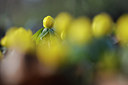 BUITEN BEELD Foto: 85682