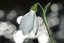 BUITEN BEELD Foto: 85800