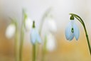 BUITEN BEELD Foto: 85806