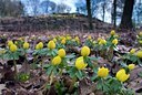 BUITEN BEELD Foto: 85817