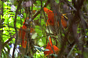 BUITEN BEELD Foto: 85842