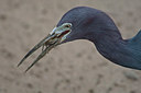 BUITEN BEELD Foto: 85855