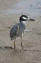 BUITEN BEELD Foto: 85857