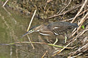 BUITEN BEELD Foto: 85863