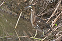BUITEN BEELD Foto: 85864
