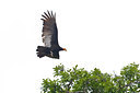 BUITEN BEELD Foto: 85866