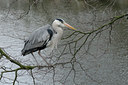 BUITEN BEELD Foto: 85875